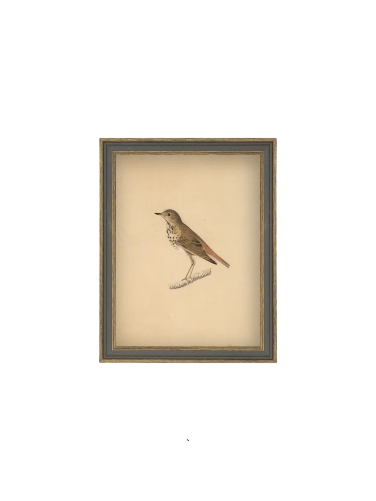 Bird Framed Picture