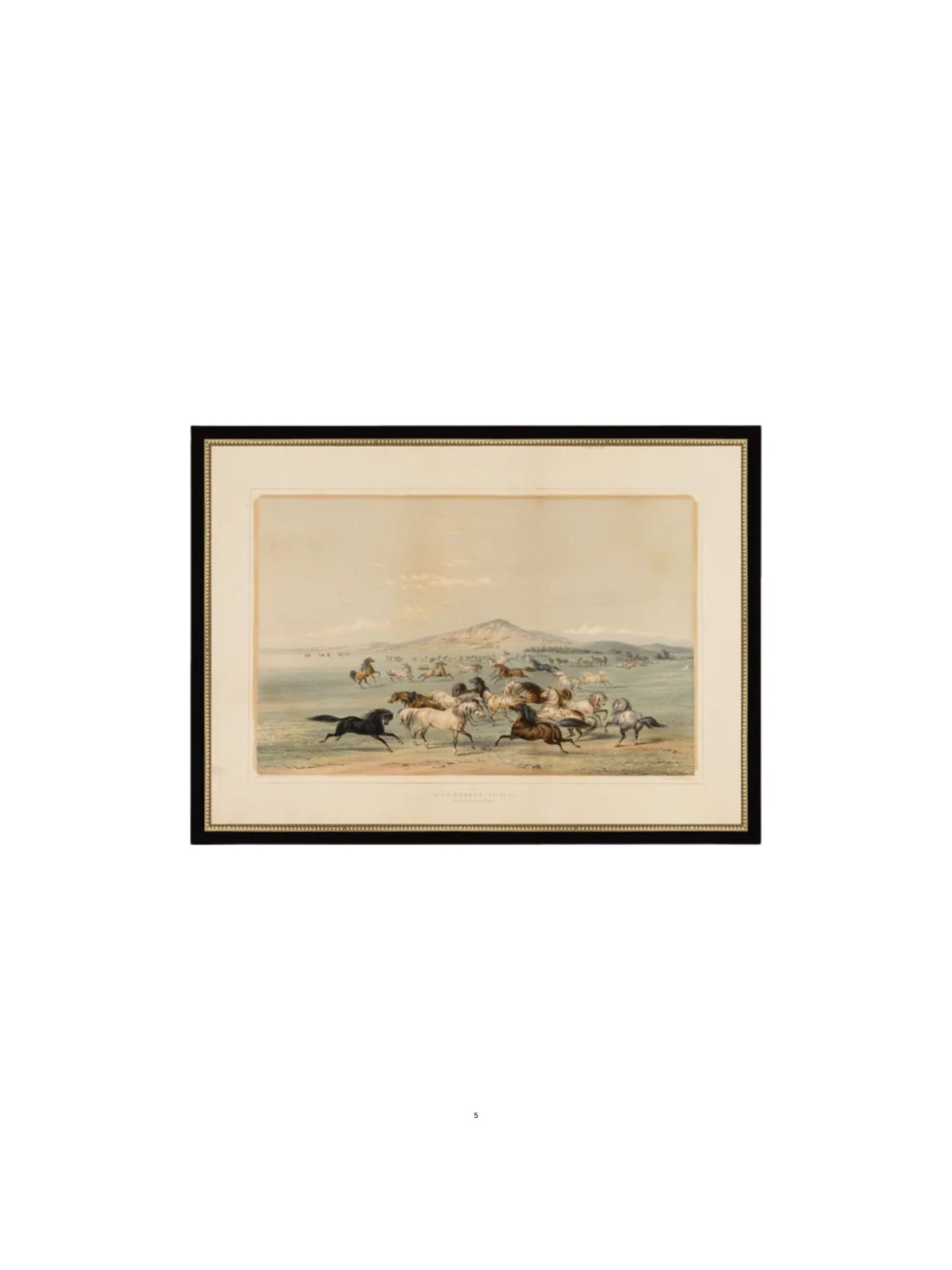 Field of Horses Framed Picture