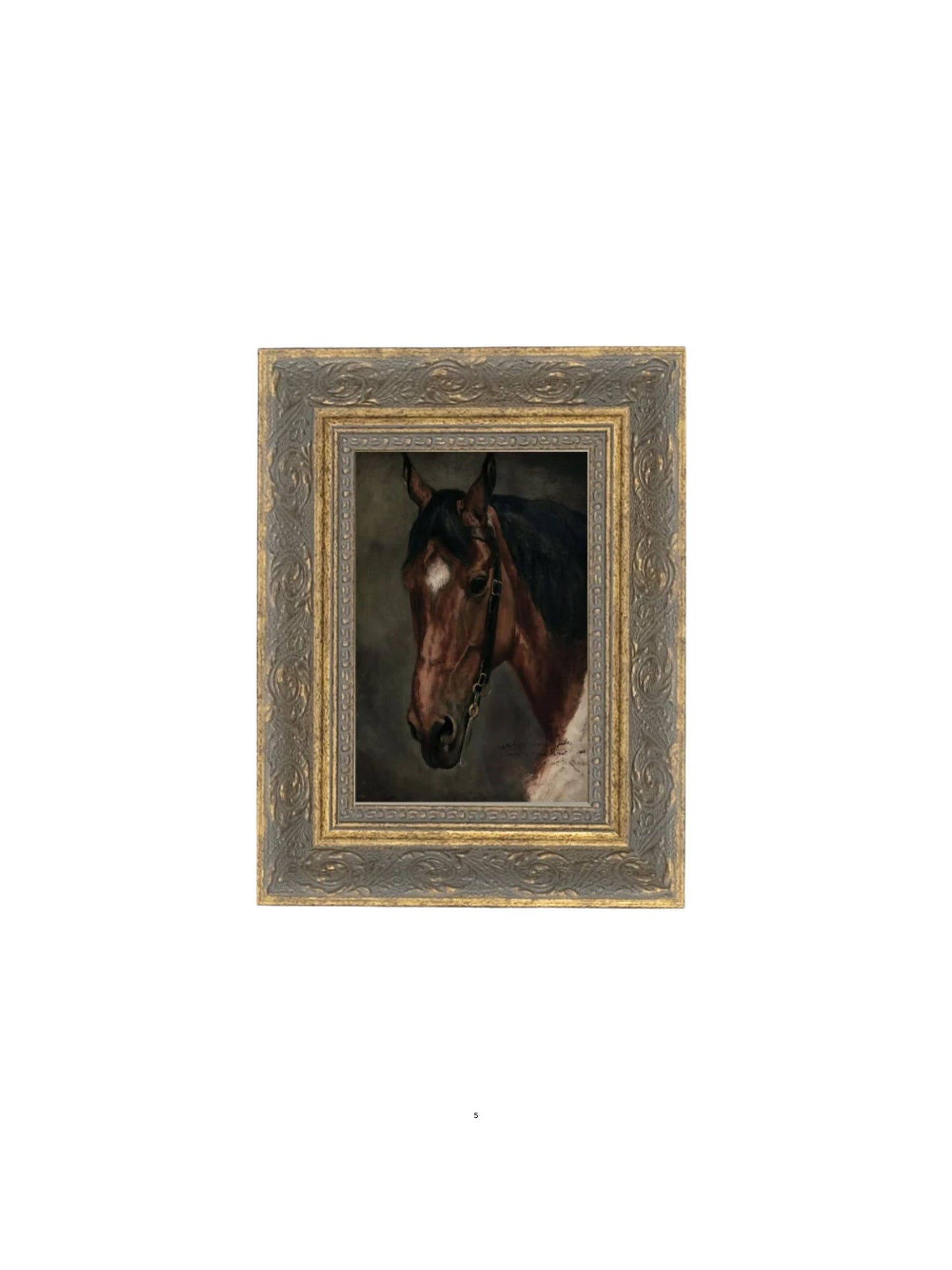 Horse Portrait Framed Picture