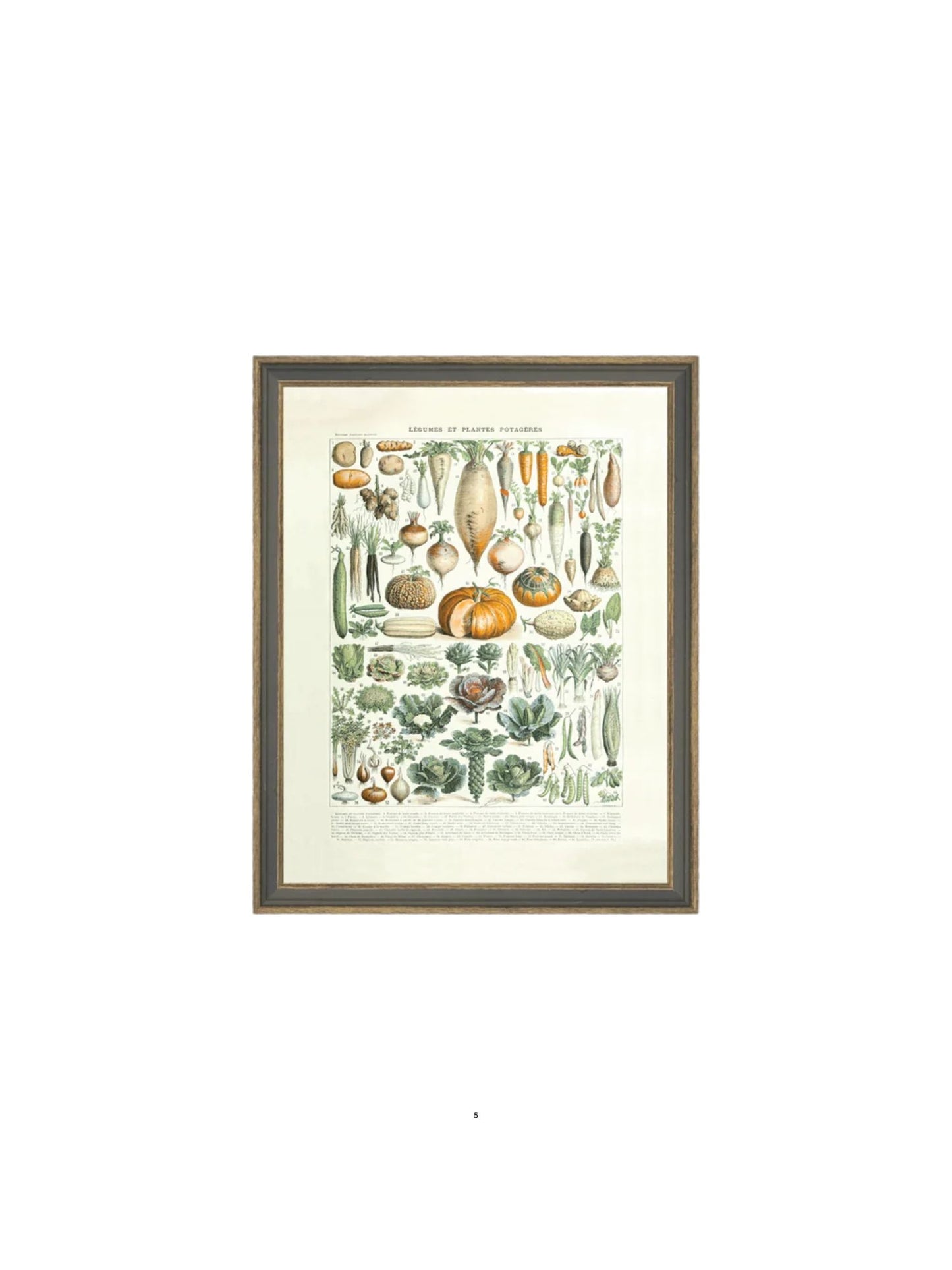 Legumes ET Plantes Framed Picture