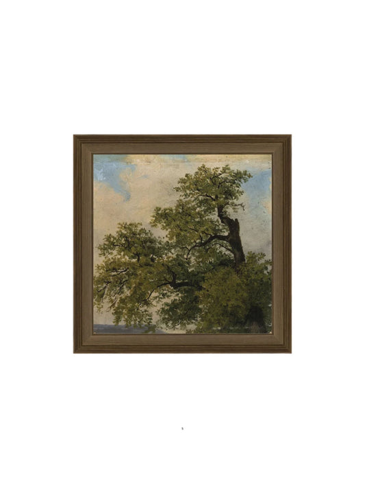 Painted Trees Framed Picture
