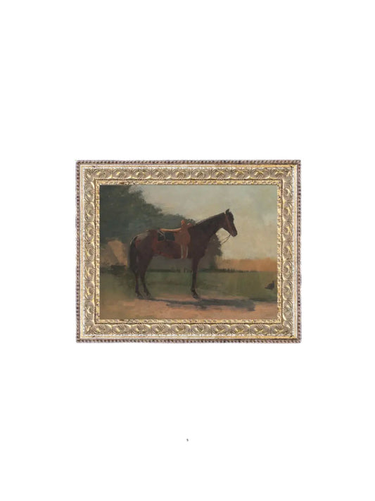 Saddled Horse Framed Picture