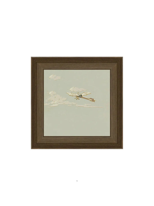 Take Flight Framed Picture