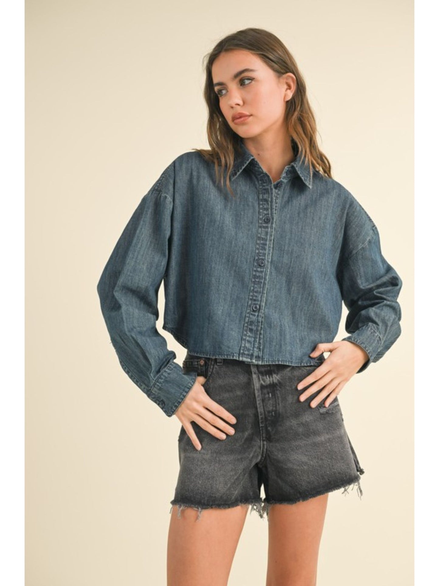 Hailey Denim Buttondown Shirt