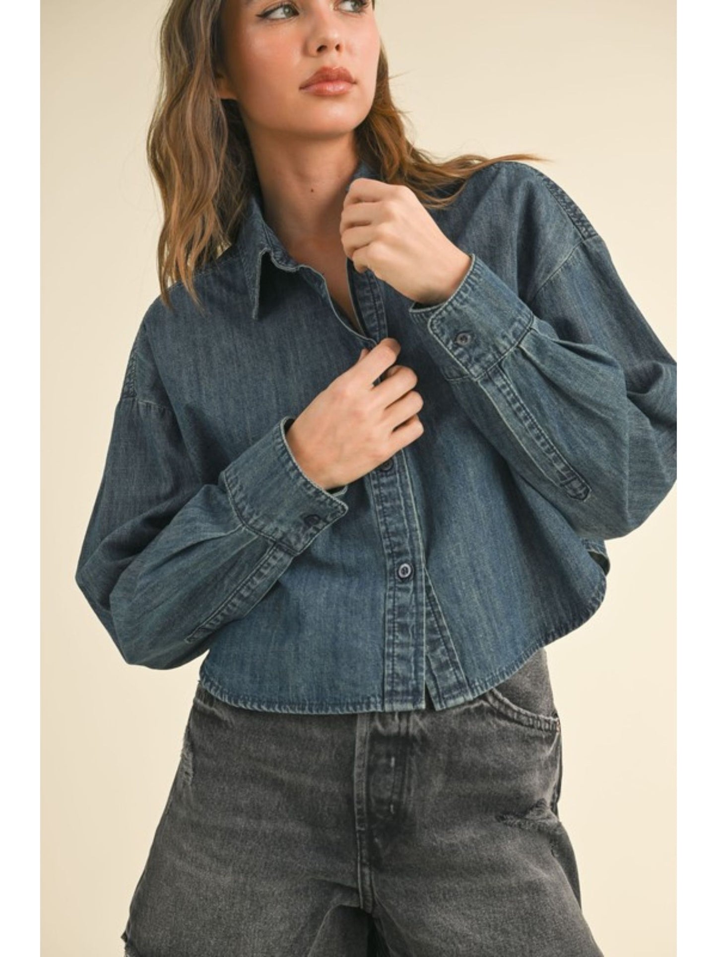 Hailey Denim Buttondown Shirt