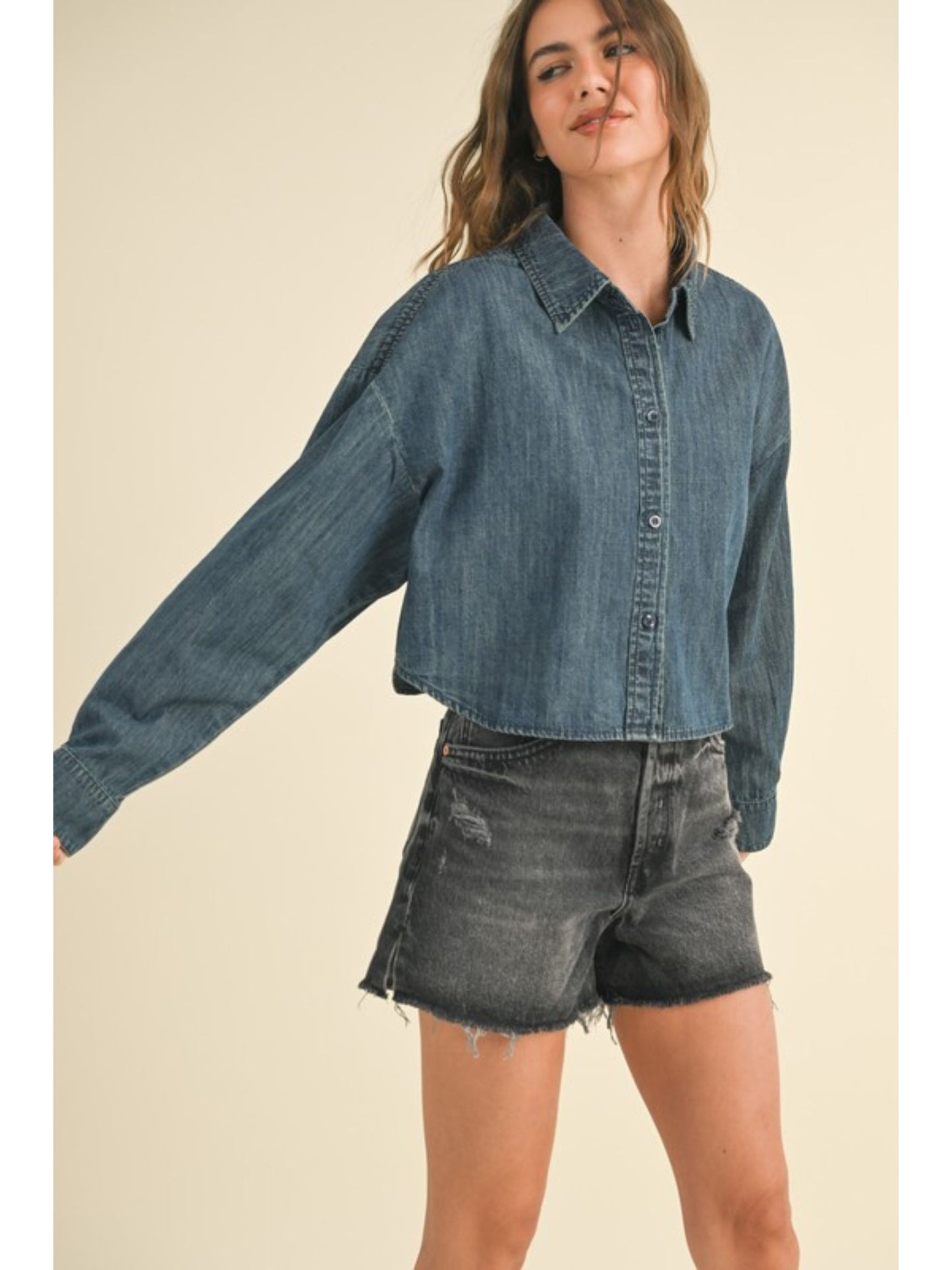 Hailey Denim Buttondown Shirt