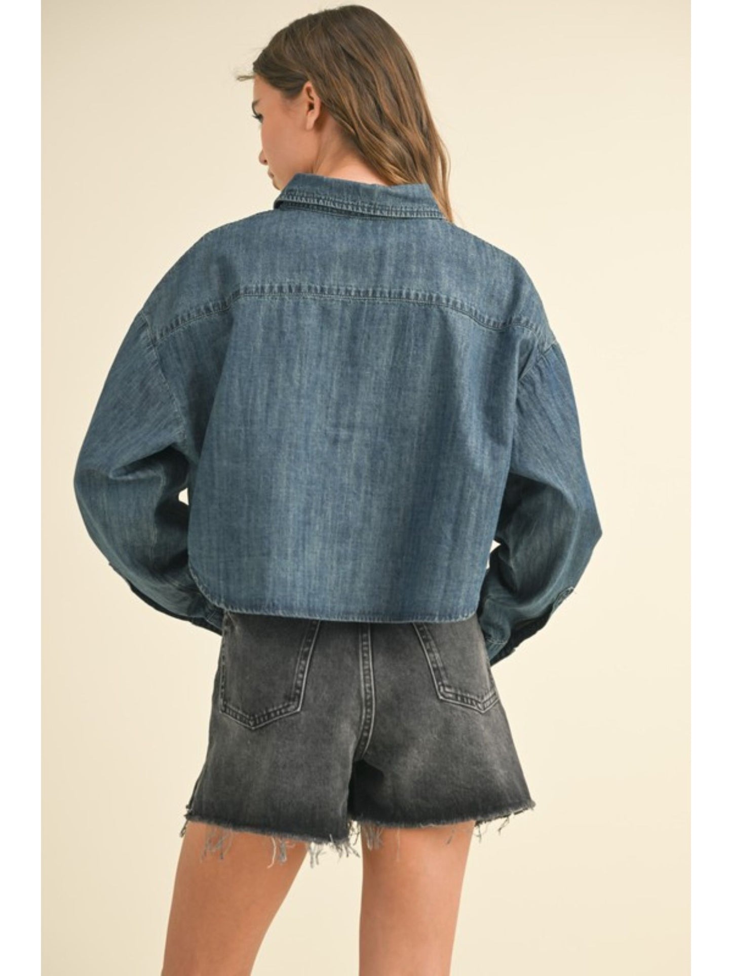 Hailey Denim Buttondown Shirt