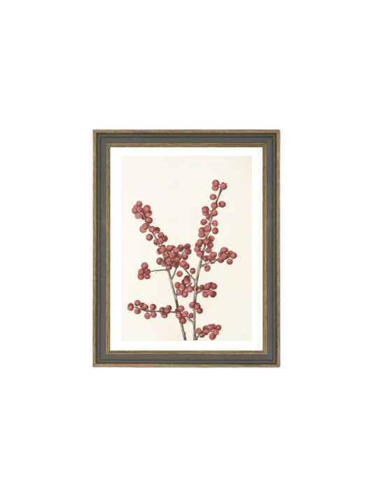 Winter Berry Branch Framed Picture