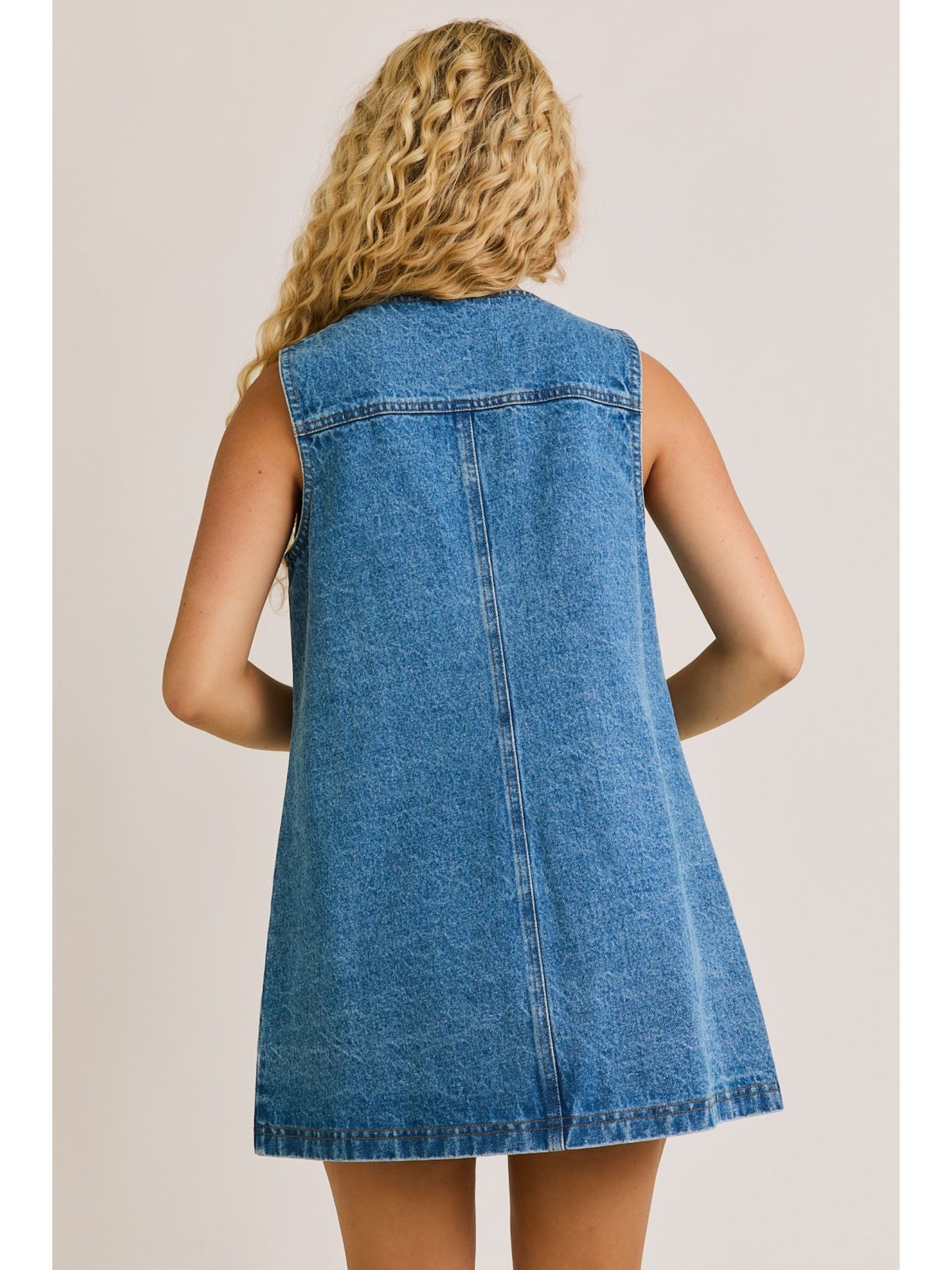 Clara Denim Button Down Dress