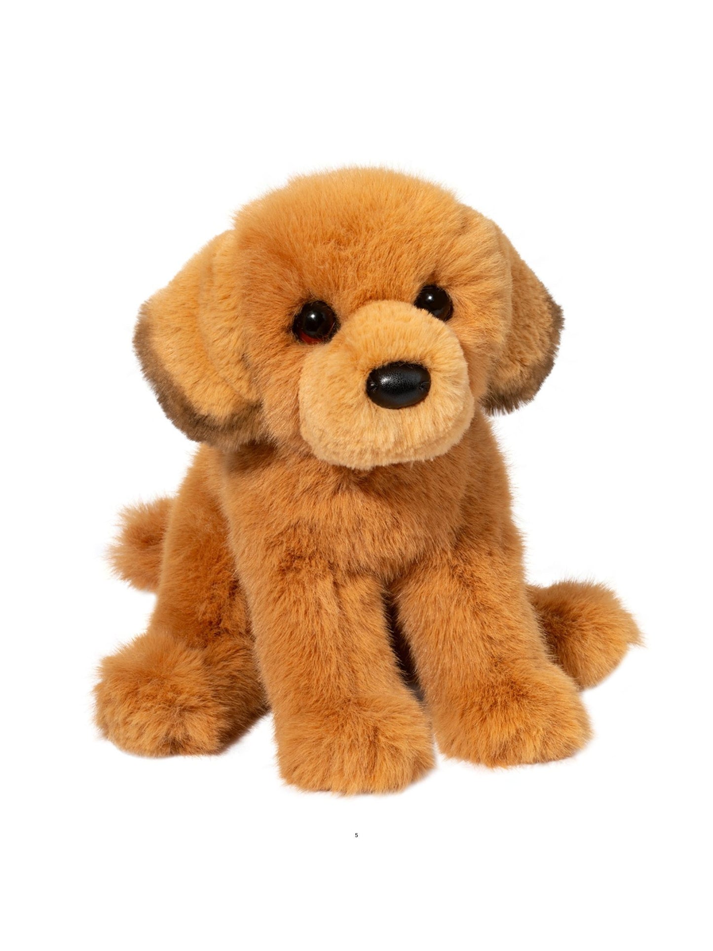 August the Golden Retriever