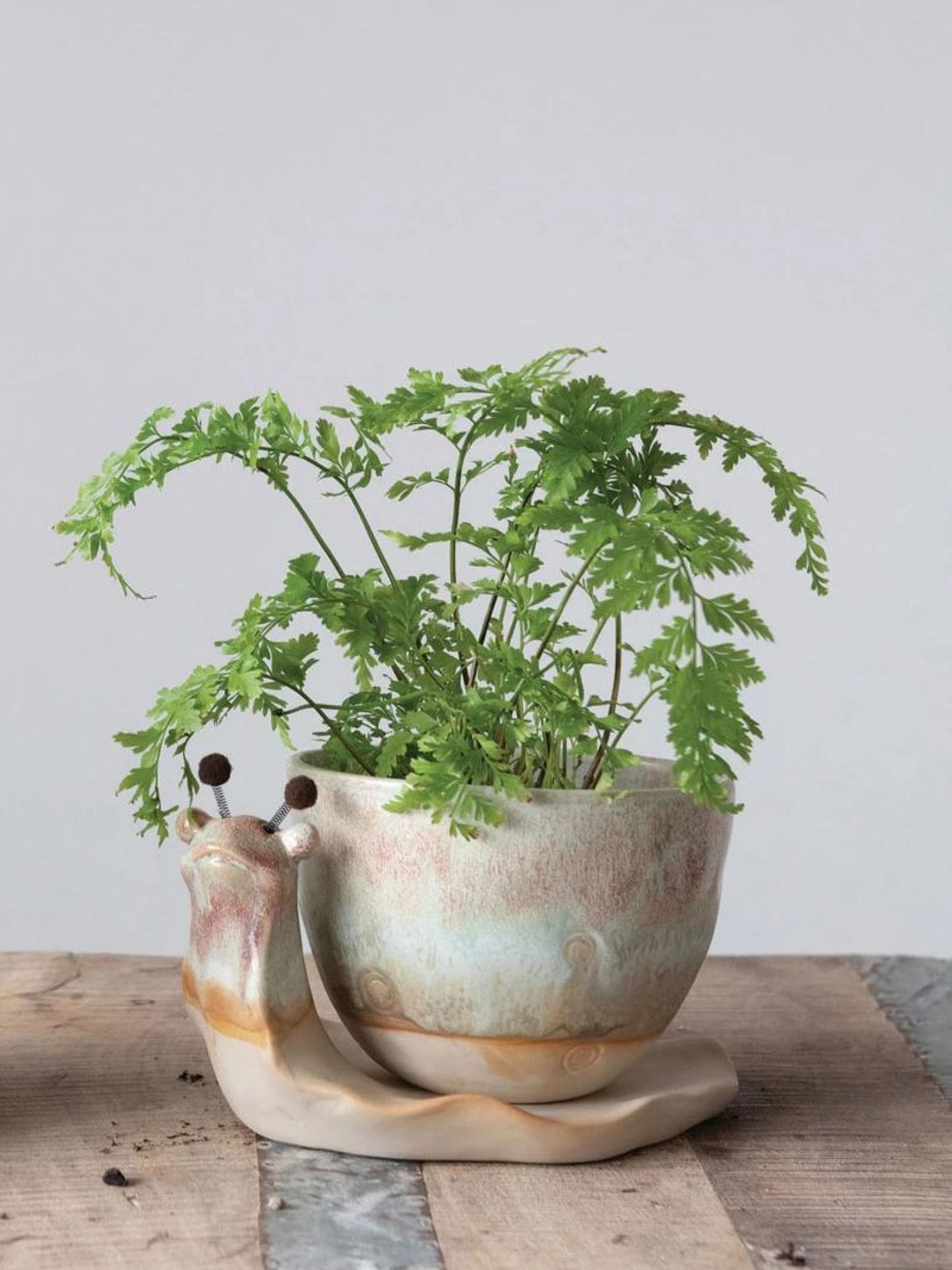 Stoneware Snail Planter (PICK UP ONLY)
