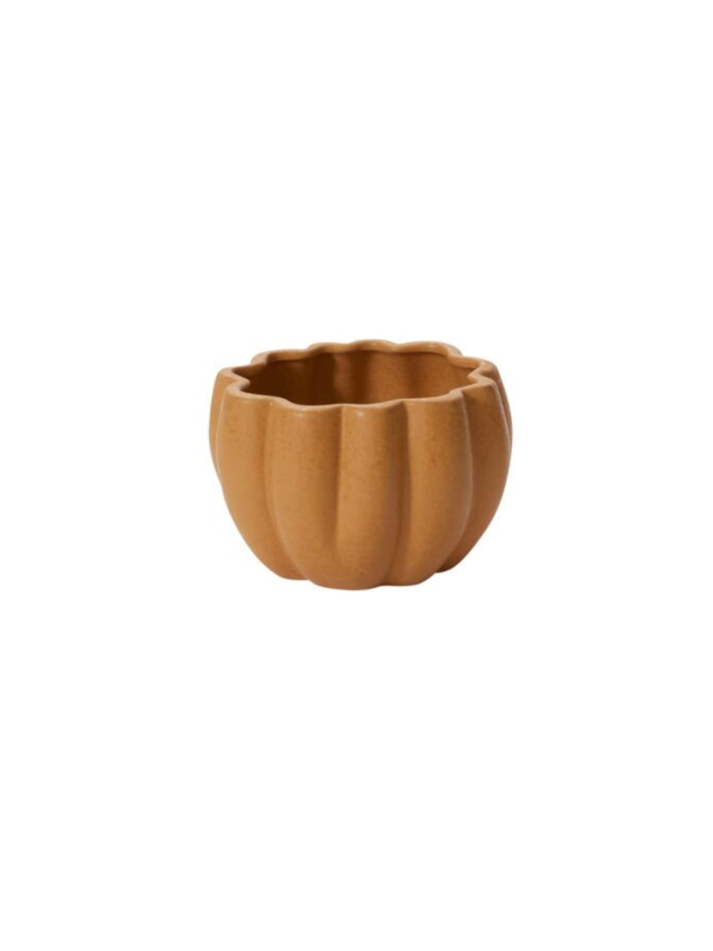 Spiced Pumpkin Pot