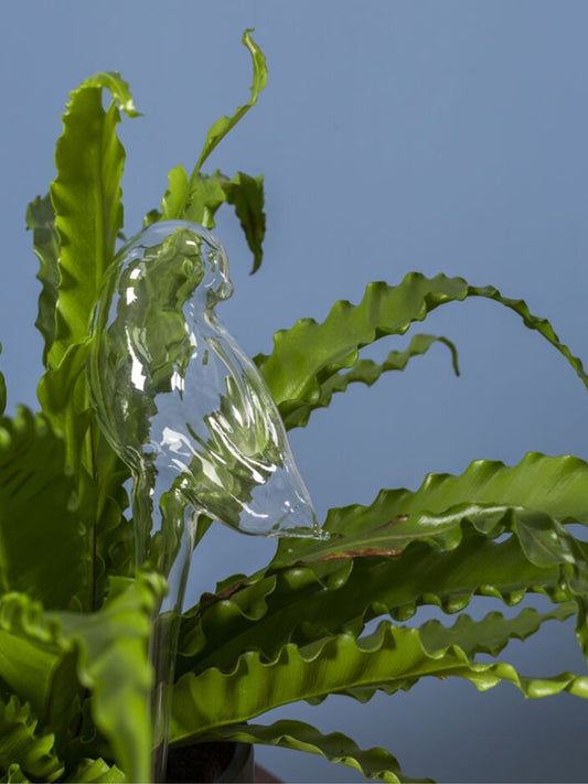 Bird Trickle Watering Tub (Pick-Up ONLY)