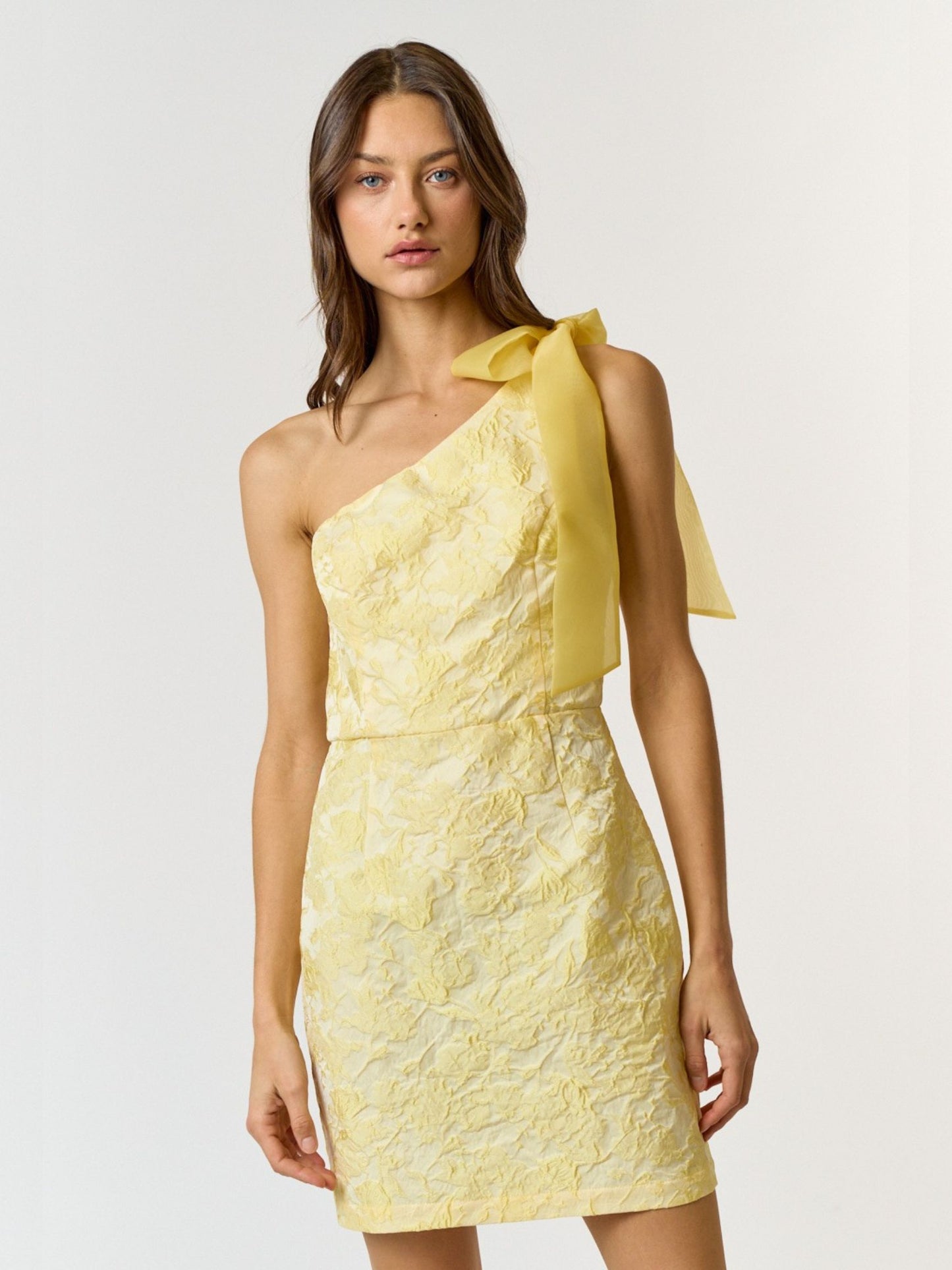 Meyer Lemon Organza Mini Dress