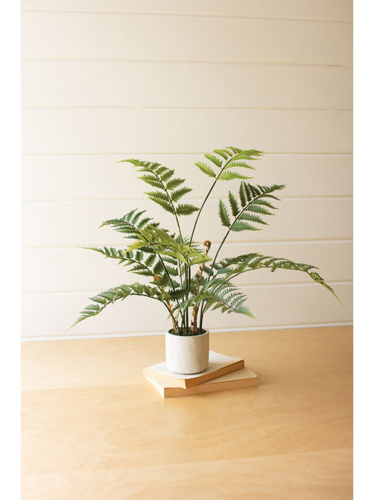 Artificial Fern In A Cement Pot - Pick Up Only