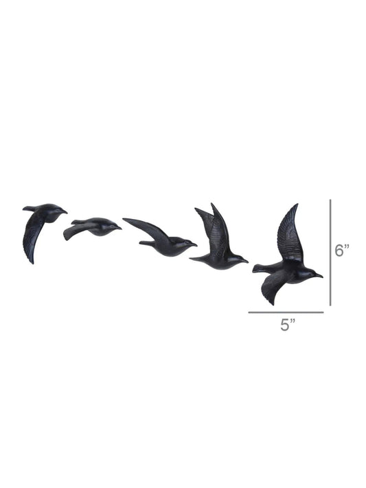 Flying Gulls - Assorted