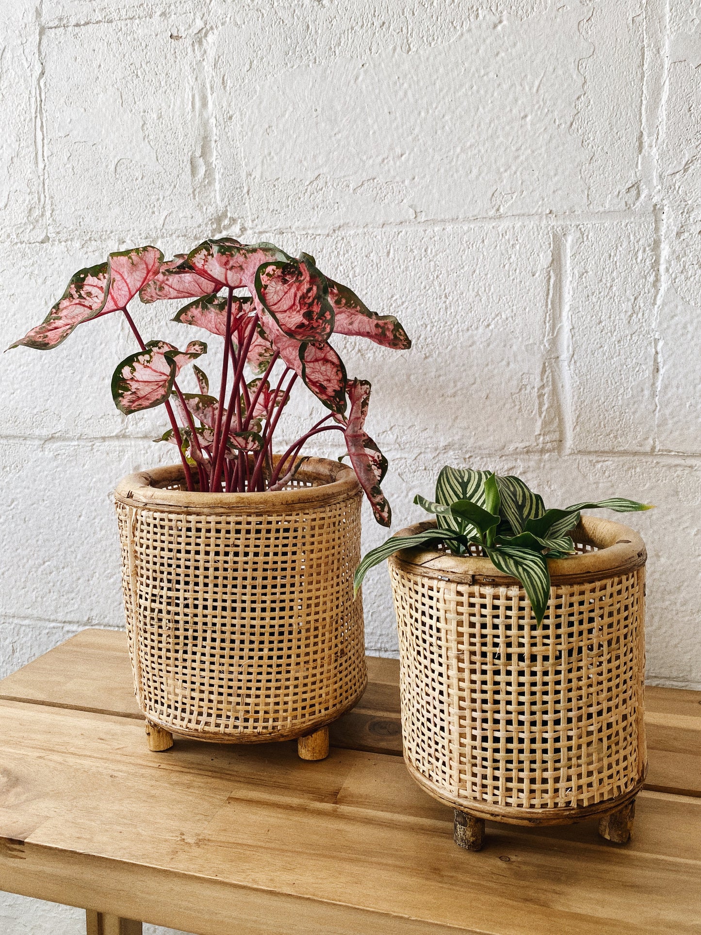 Wicker Plant Holder
