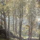 Vintage Woodland Landscape Painting - Pick Up Only