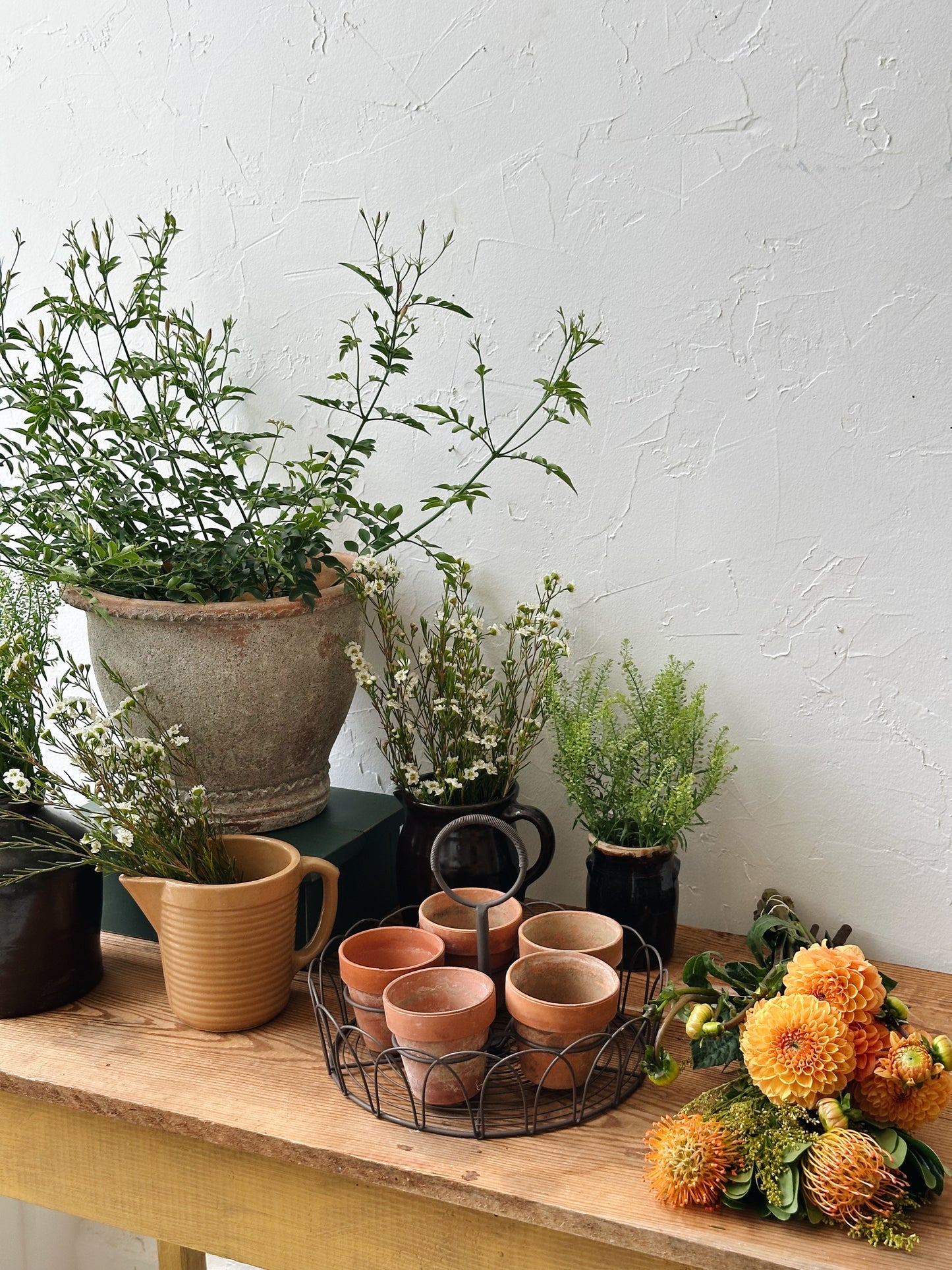 Vintage Wire Herb Caddy