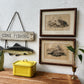 Vintage Set of 2 Fish Prints
