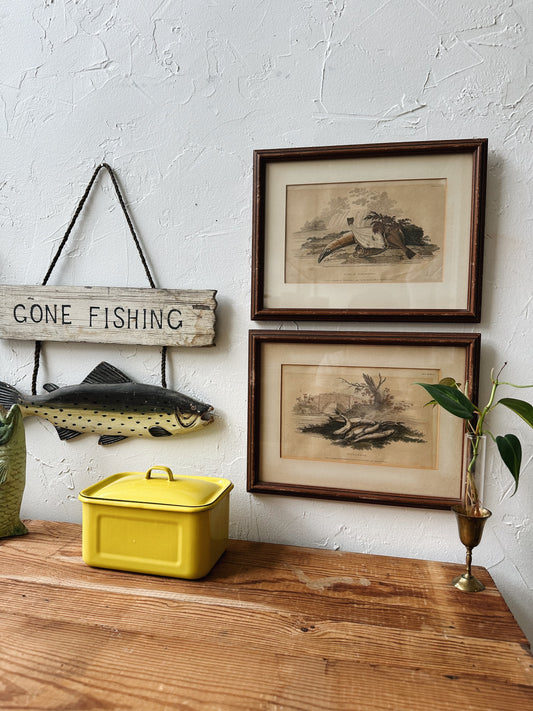 Vintage Set of 2 Fish Prints