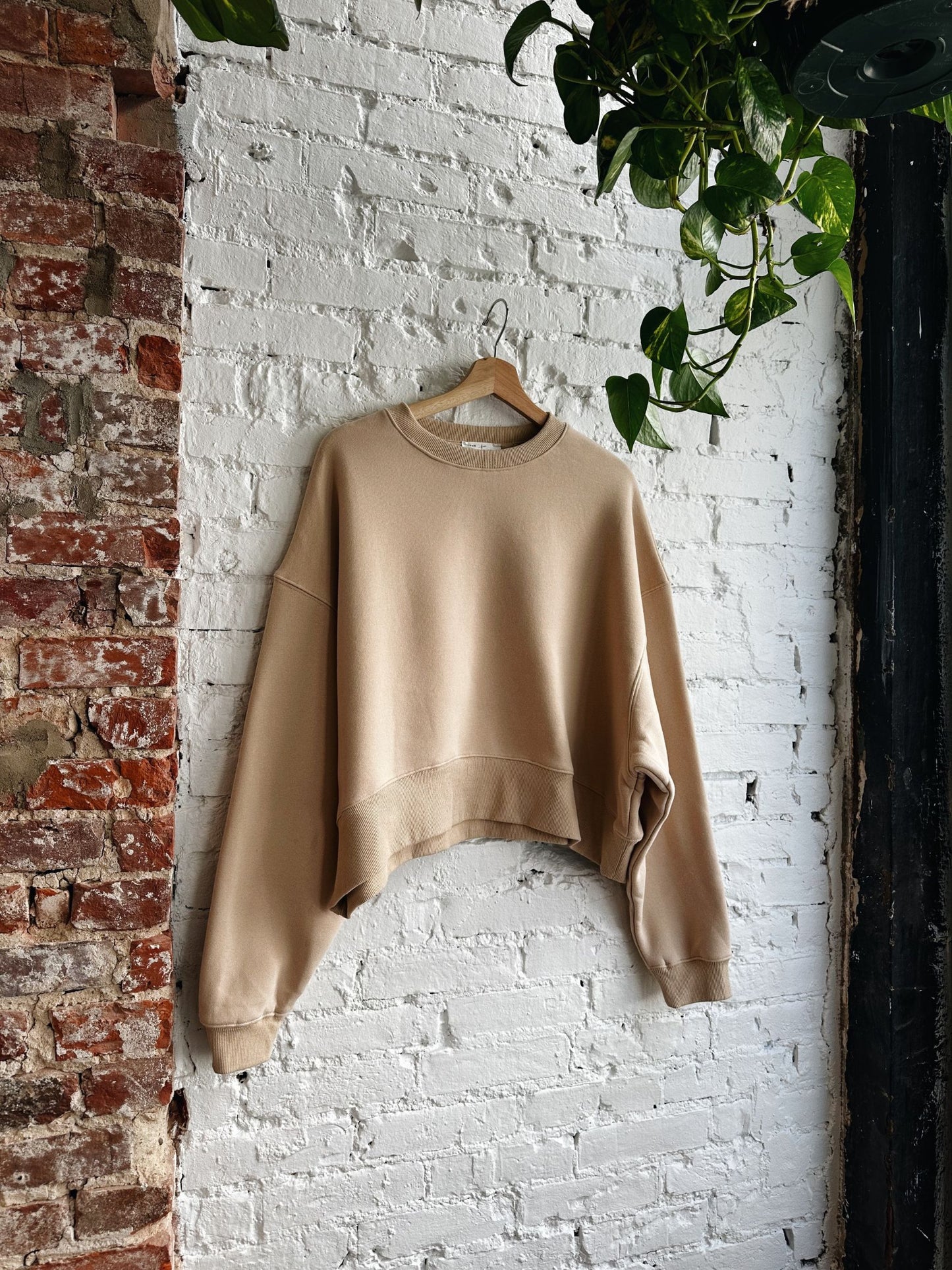 The Everything Crewneck
