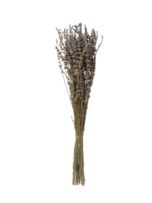 Dried Lavender Bunch (PICK UP ONLY)