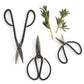 Forged Iron Garden Shears in Gift Envelope