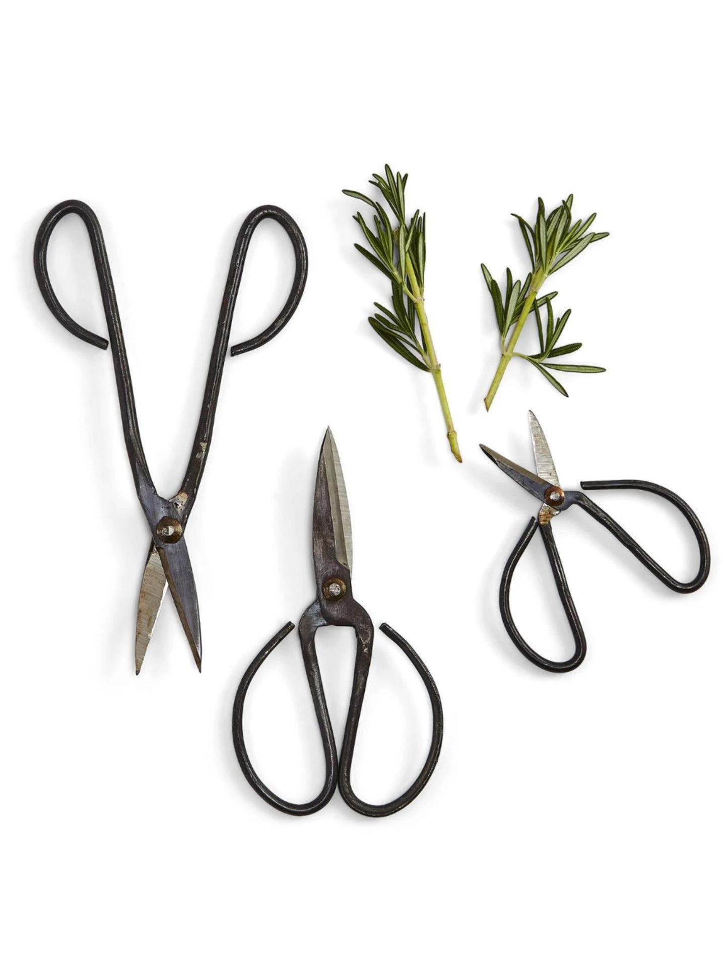 Forged Iron Garden Shears in Gift Envelope