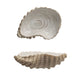 Oyster Shell Dish