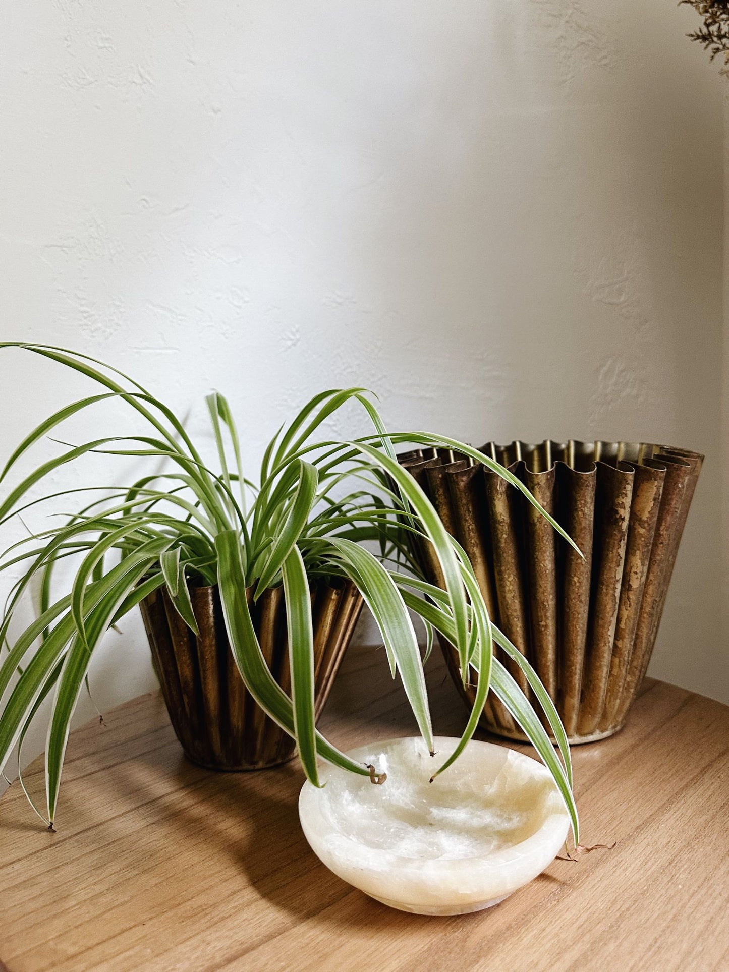 Brass Fluted Metal Planter (PICK UP ONLY)