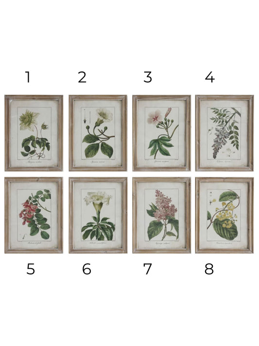Wood Framed Vintage Botanicals (PICK UP ONLY)