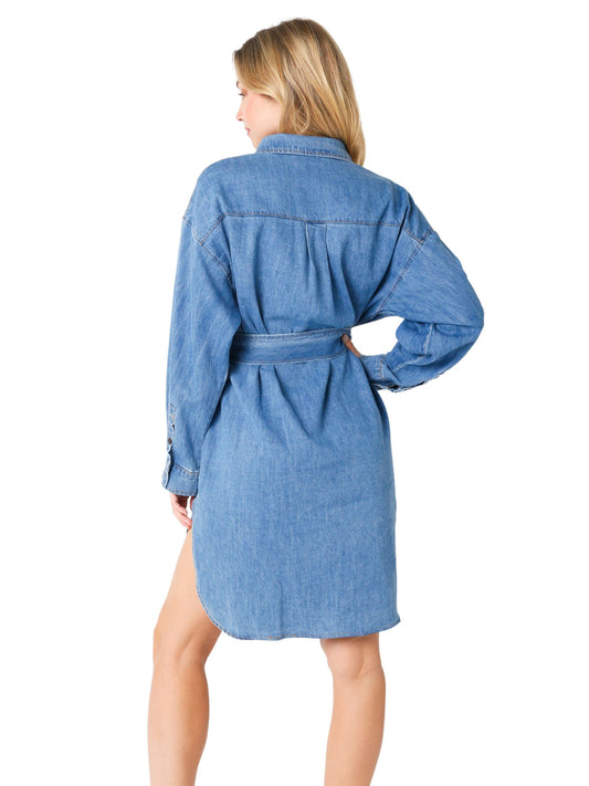 Gabby Long Sleeve Denim Dress