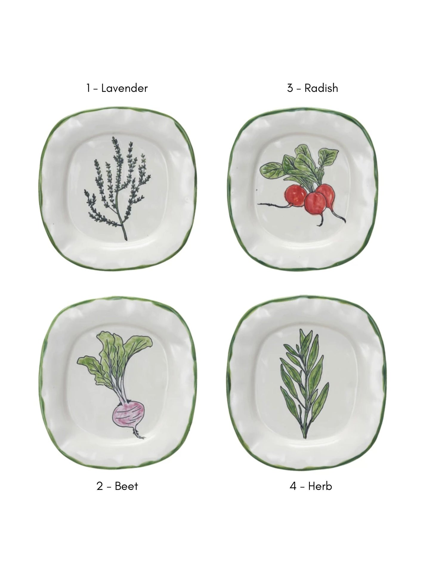 Hand-Painted Plate w/ Vegetable/Herb & Green Rim