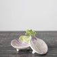 Hand-Painted Stoneware Dish