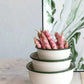 Enameled Bowls w/ Green Rim