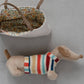 Dachshund in Sweater w/ Dog Carrier