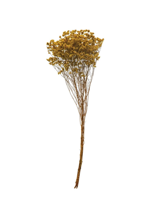 Chartreuse Dried Natural Pearl Grass Bunch (PICK UP ONLY)