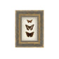 Three Butterflies Frame Picture