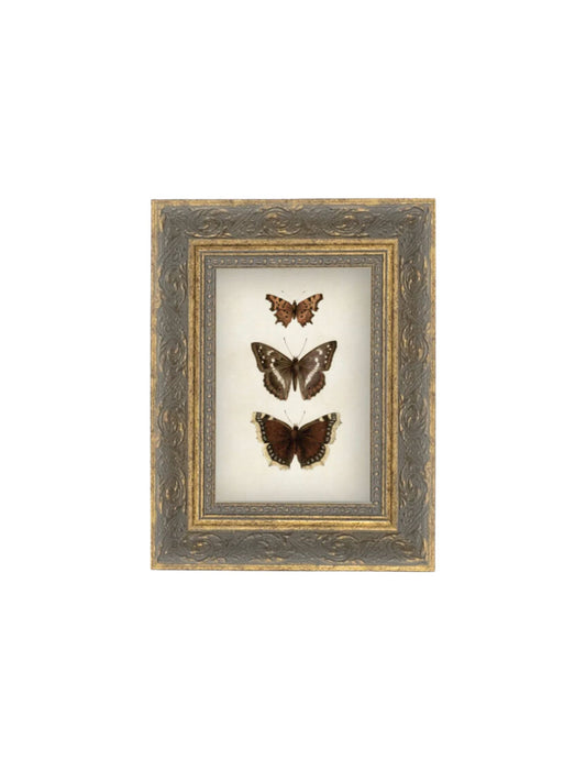 Three Butterflies Frame Picture