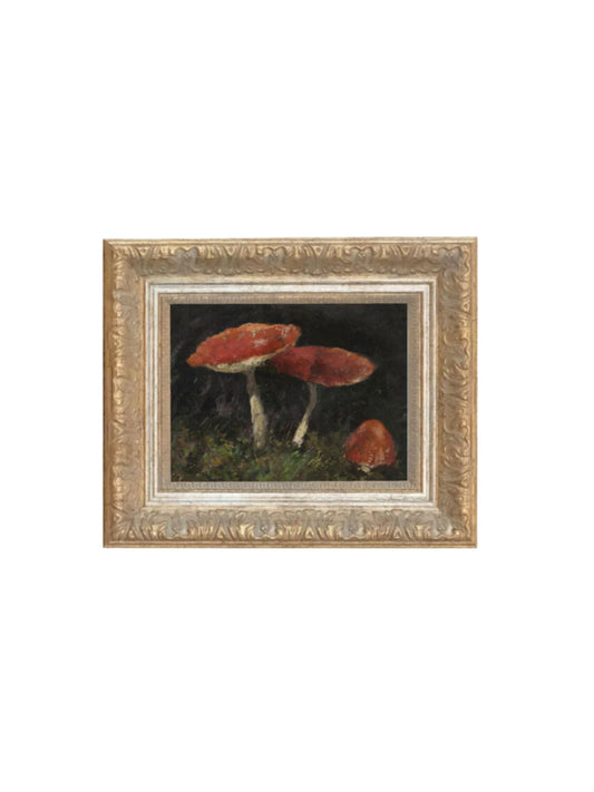 Vintage Mushrooms Framed Picture