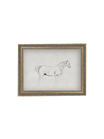 Horse Sketch Framed Picture