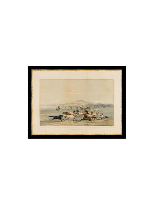 Field of Horses Framed Picture
