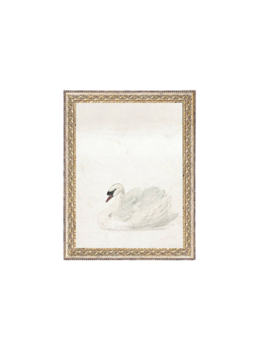 Swan Framed Picture