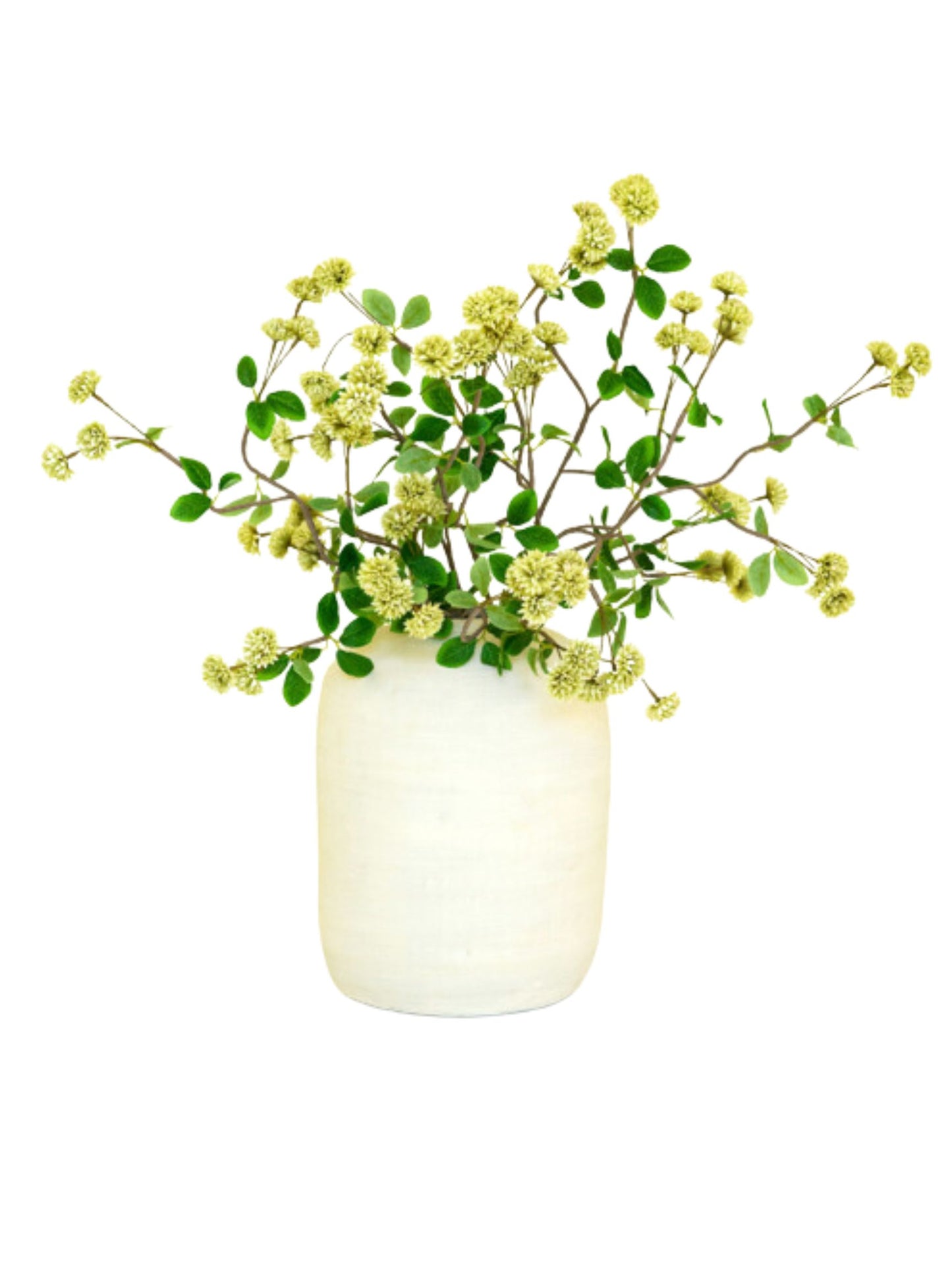 Natural Botanical (pick up only)