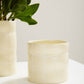 Maison Collection