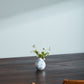 Eleanor Budvases