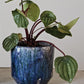 Decorative Terra-cotta Planter