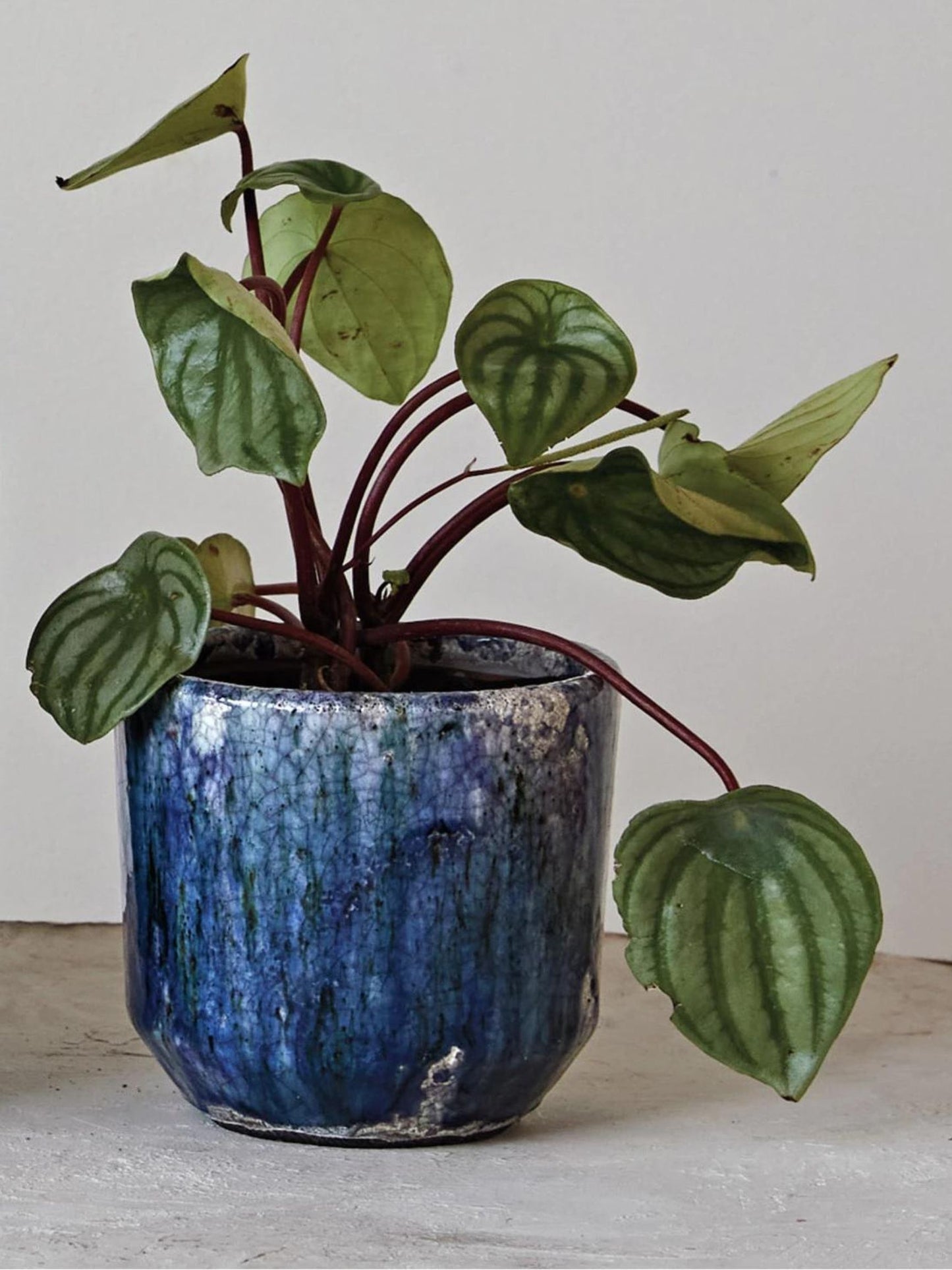Decorative Terra-cotta Planter