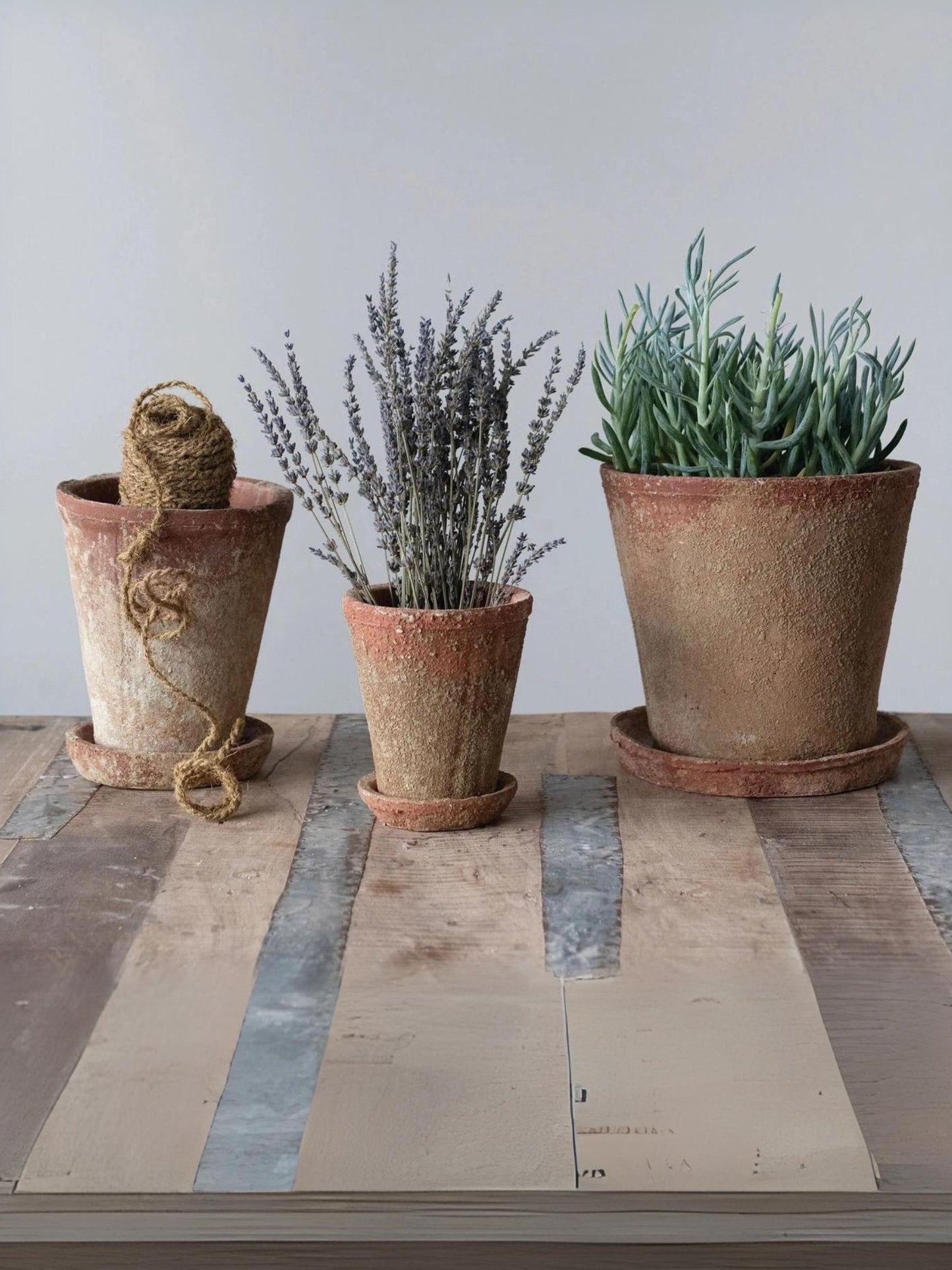 cement pot plants Distressed Cement Planter with Saucer